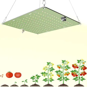 Led לגדול אור ספקטרום מלא על צמחייה גבוהה PPFD UV IR פיטו המנורה,עבור הצמח מקורה חממה אוהל זרעי פרחים ירקות פורח