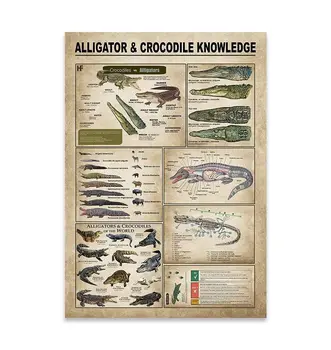 תנין & תנין הידע פוסטרים מתכת סימנים תנין & תנין הידע פוסטרים מתכת סימנים וינטג ' פלאק F
