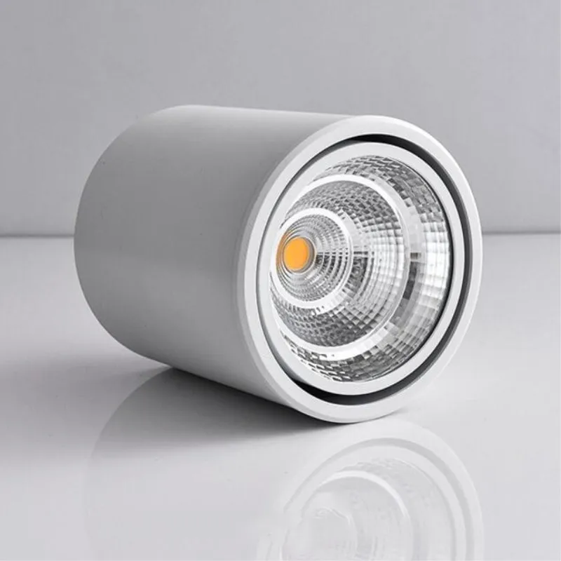 צמודי LED Downlights 10W 15W 20W COB LED ניתן לעמעום תקרה נקודת אור מטבח אמבטיה LED Downlights המנורה AC85-265V . ' - ' . 2