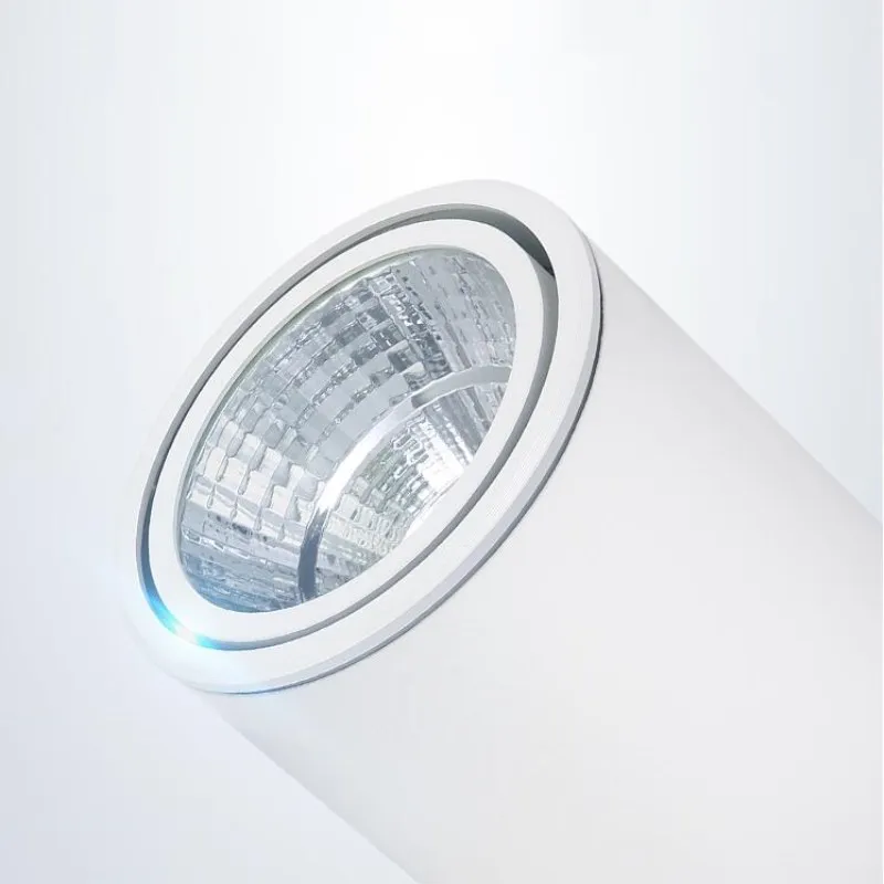 צמודי LED Downlights 10W 15W 20W COB LED ניתן לעמעום תקרה נקודת אור מטבח אמבטיה LED Downlights המנורה AC85-265V . ' - ' . 3